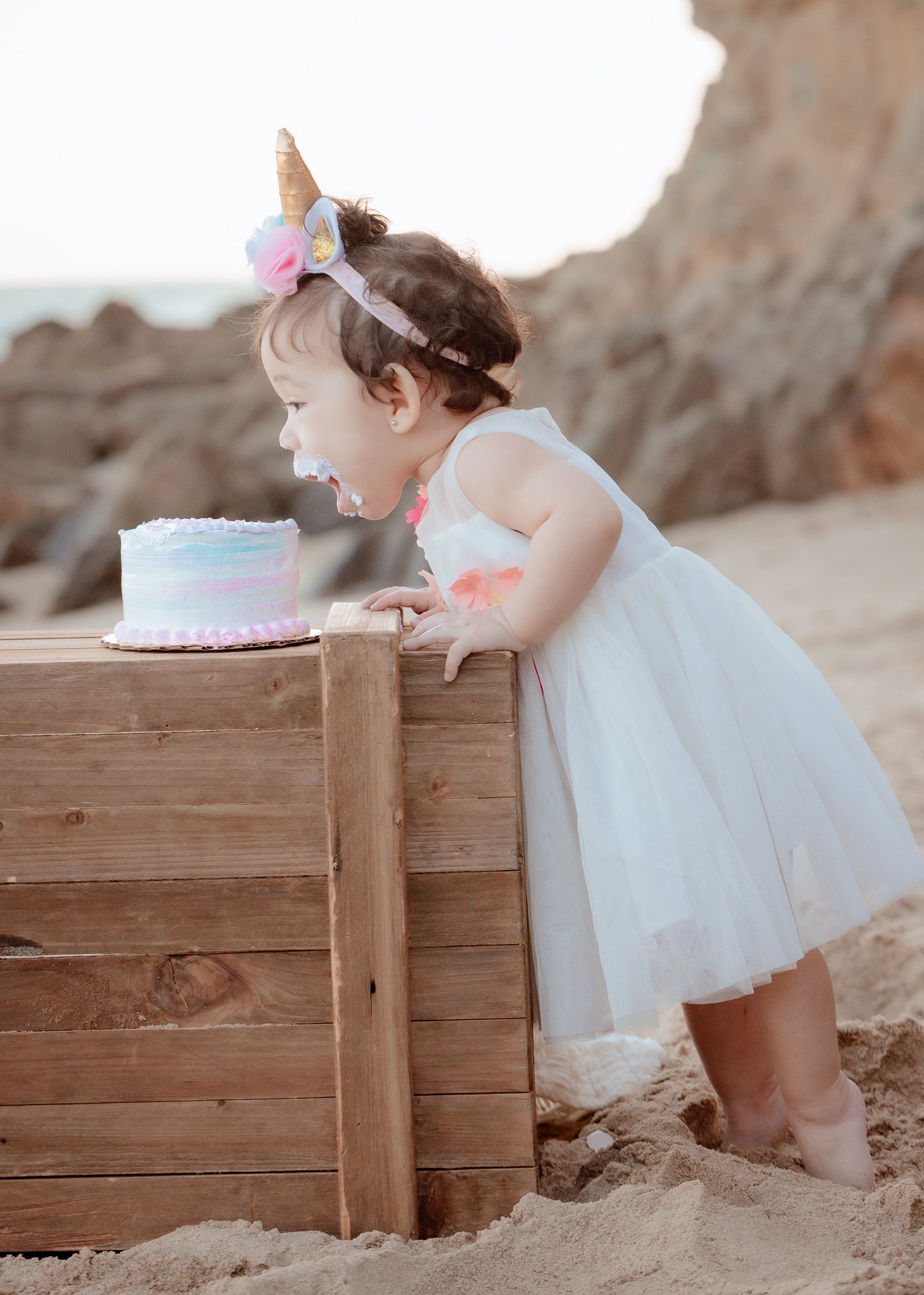 Charlotte Cake Smash birthday portrait by Pak Studios in Arizona birthday portrait session